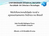 Multifuncionalidade e questão hídrica no Brasil.pdf.jpg