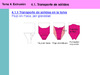 Extrusion_Tansporte_de_solidos_fusion_presurizacion_y_bombeo_Modelado.pdf.jpg