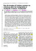 2012_Vazquez-Luis et al contenidos estomacales anfipodos.pdf.jpg