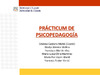 El_practicum_de_Psicopedagogia.pdf.jpg