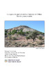 La_vegetacion_gipsicola_en_los_Cabecicos_de_Villena_ge_Navarro_Molina_Aitana.pdf.jpg