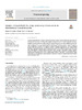 Vives-Boix_Ruiz-Fernandez_2021_Neurocomputing_final.pdf.jpg