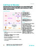 Mayneris-Perxachs_etal_2022_CellHost&Microbe.pdf.jpg